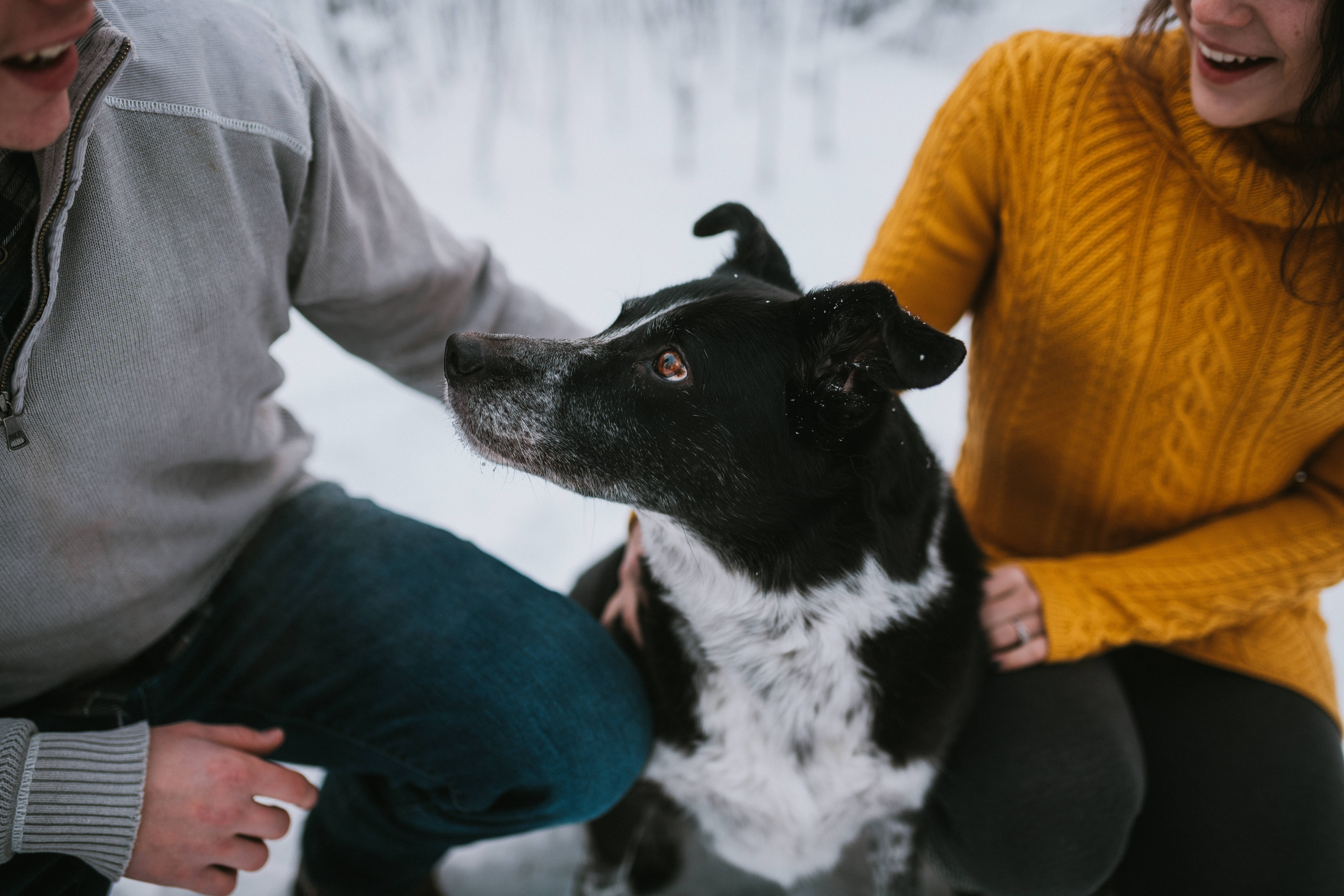 Couple crouching in snow with their dog during engagement session