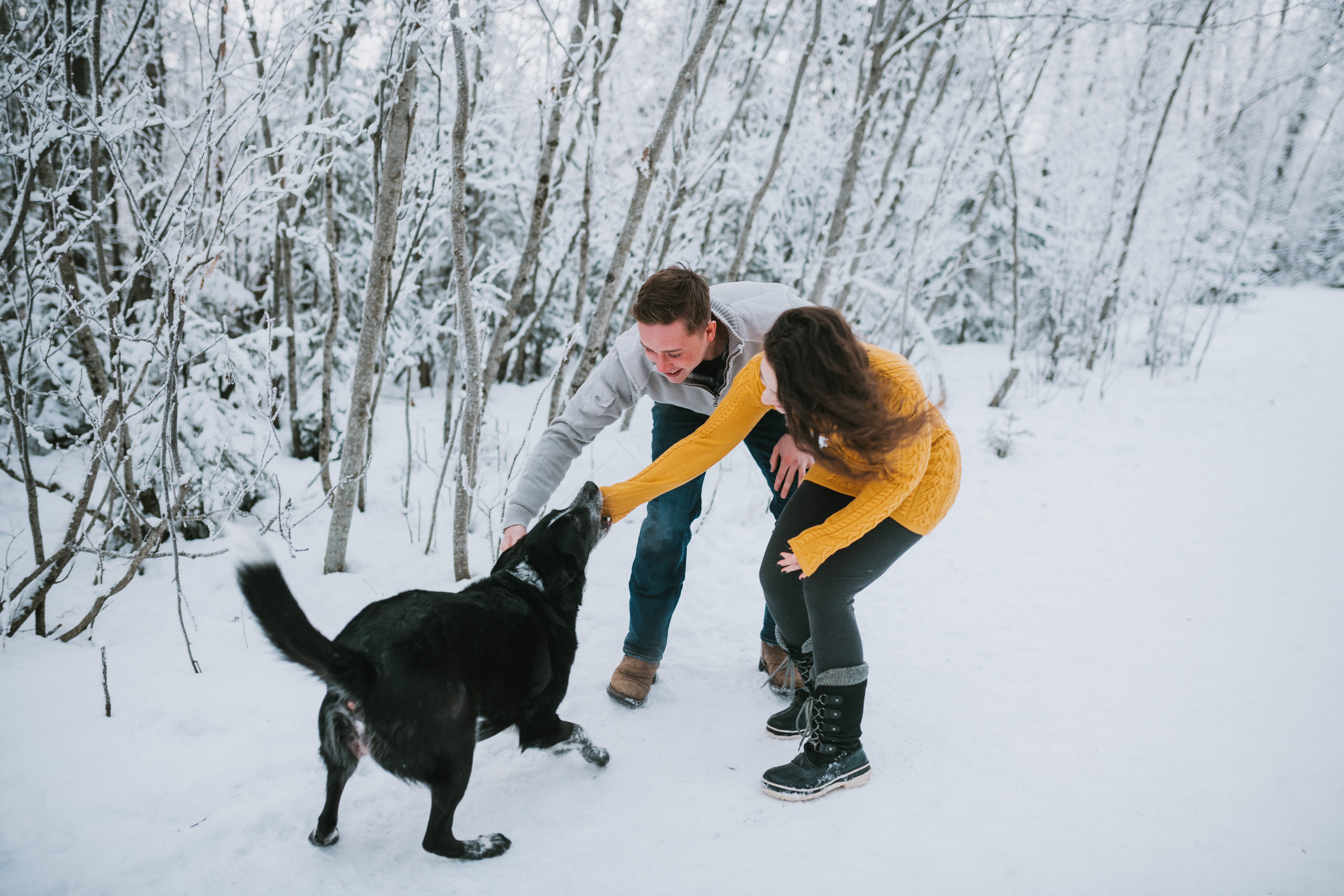 Couple playing with their dog during their engagement session