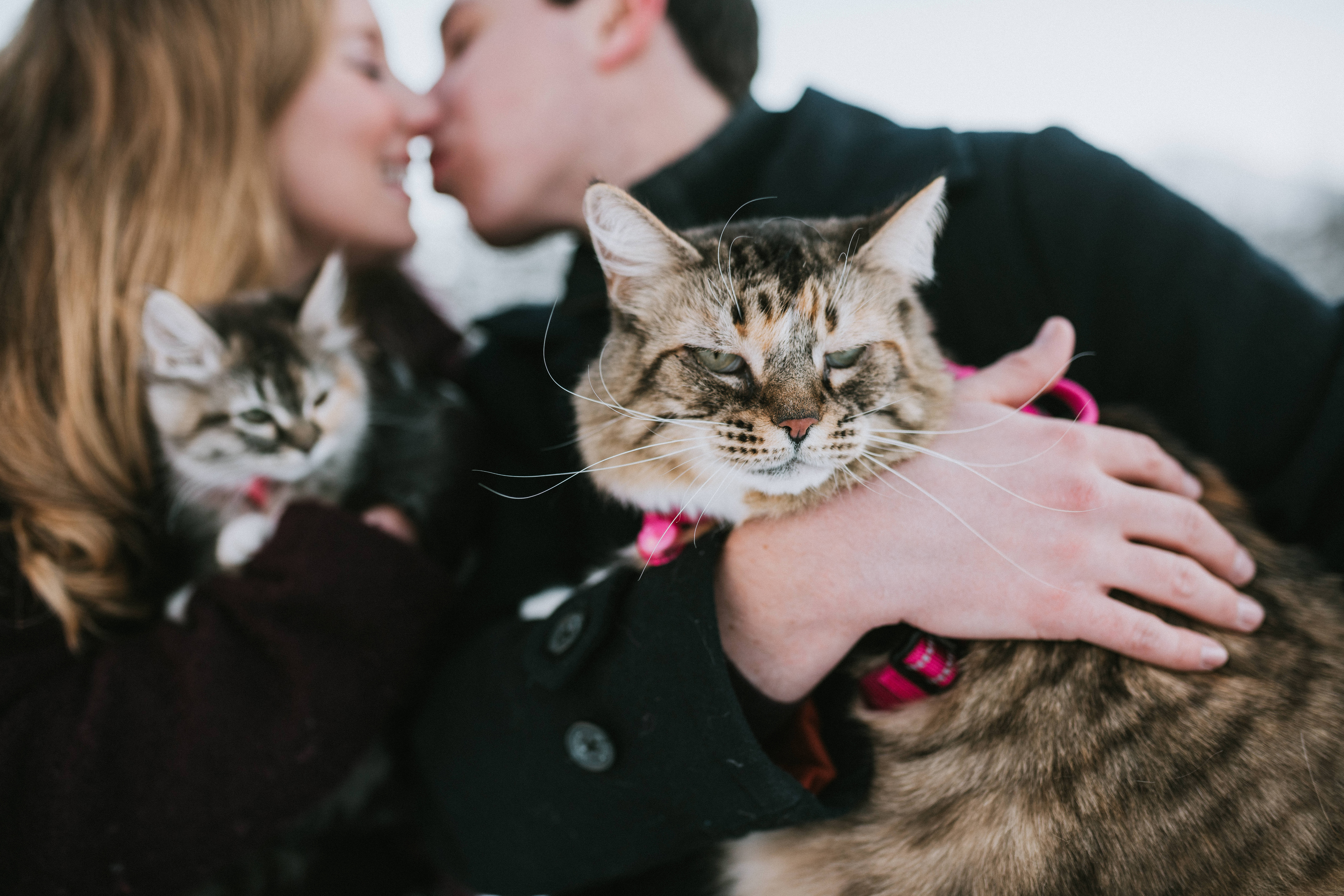 Couple kissing while holding their two cats