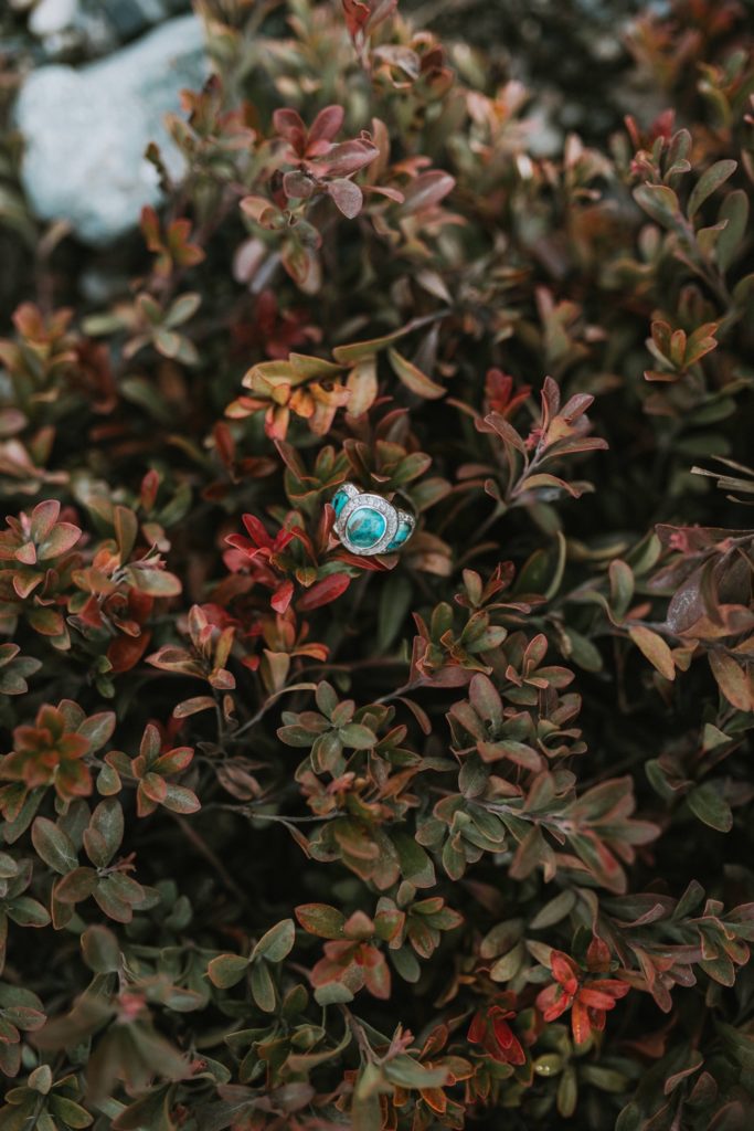 A turquoise engagement ring nestled in some fall colored foliage