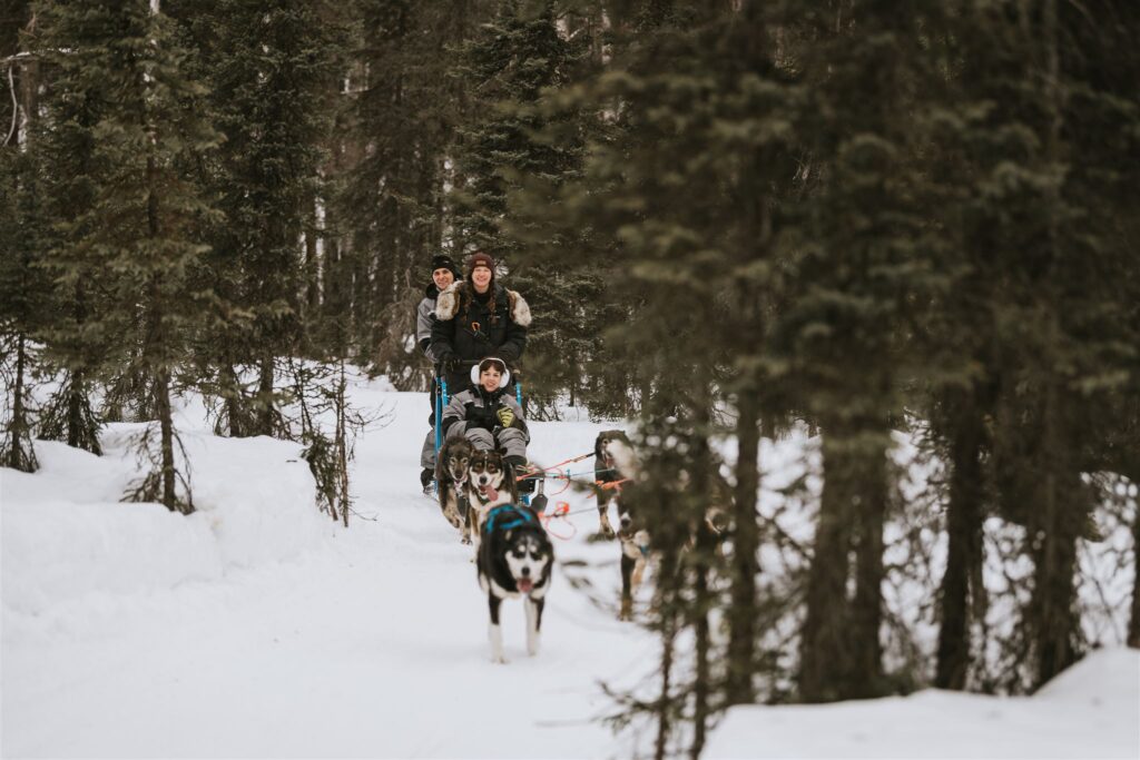 Two people enjoying a dogsled ride through a snowy forest, led by a team of energetic huskies, capturing the adventure and beauty of an Alaskan winter experience.