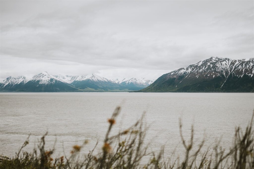 A serene view of a wide bay with calm waters, surrounded by snow-capped mountains under an overcast sky, captures the allure of travel to Alaska. In the foreground, out-of-focus grass and wildflowers add a touch of nature's subtle beauty.