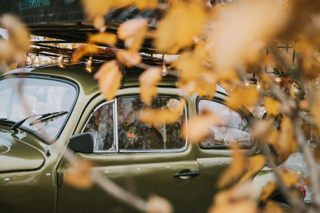 A vintage green car is partially visible through autumn leaves. It has a roof rack decorated with string lights and flowers.