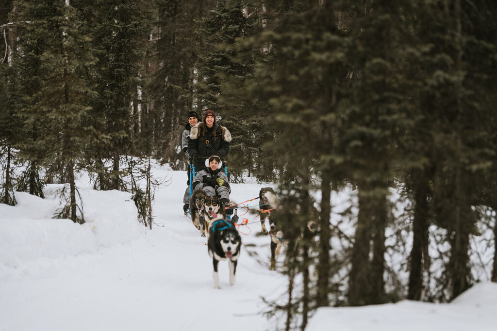 Three people ride a dog sled pulled by huskies through a snowy forest of towering evergreens—one of the most unique proposal ideas for adventurous couples.