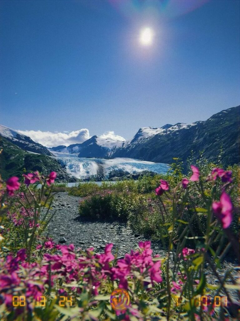 A glacier with snow-capped mountains in the background, wildflowers in the foreground, and a bright sun in a clear blue sky—an unforgettable scene often found on Alaska hikes.
